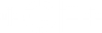 Georg Fischer