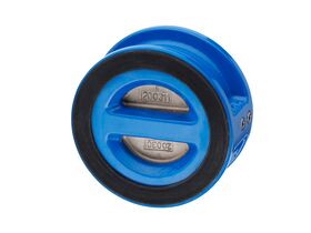 DIMAX Wafer Check Valve 
