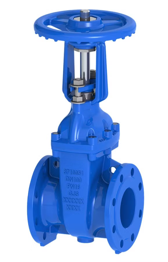 Figure 500 OS&Y Resilient Seated Gate Valves