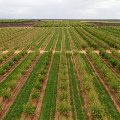 Greenways Irrigation Pipeline